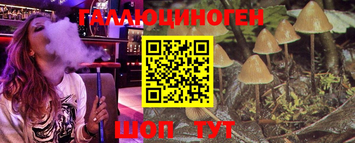 Галлюциногенные грибы мицелий  Псилоцибиновые грибы мухоморы  Вход с VPN  Борисоглебск 